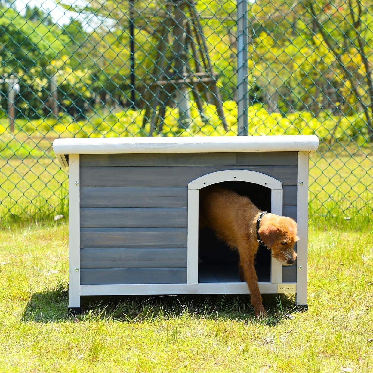 Insulated Outdoor Wooden Dog House with Removable Floor & Waterproof Roof - Kwikley