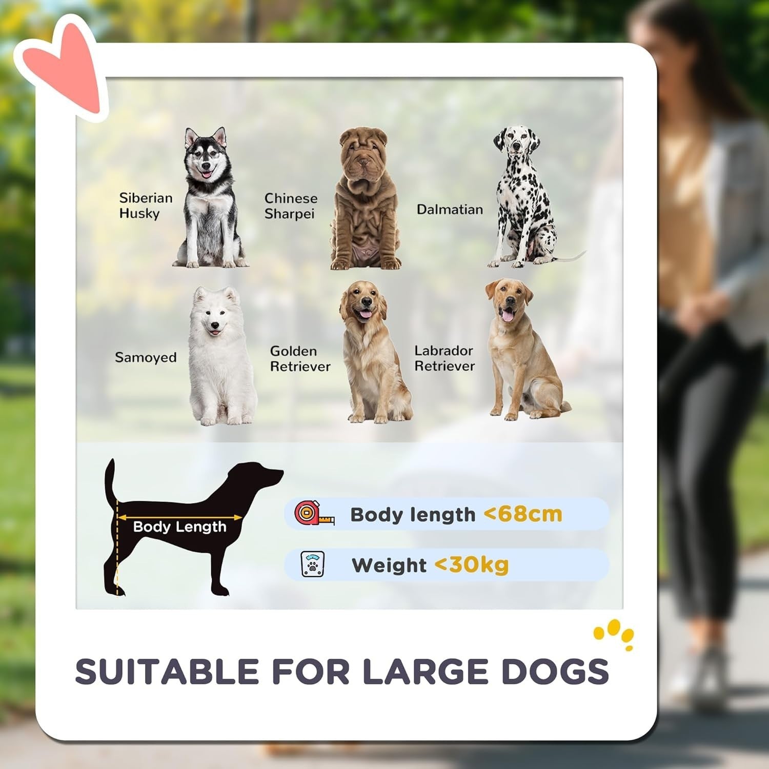 Large Dog Stroller Pet Pram Foldable Pushchair Shock - Absorbing Dark Green - Kwikley