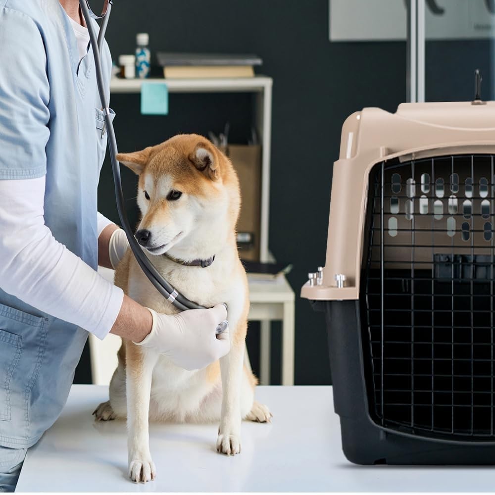 Large Plastic Pet Travel Crate 71x52x55cm Airy Lockable Dog Carrier Kennel - Kwikley