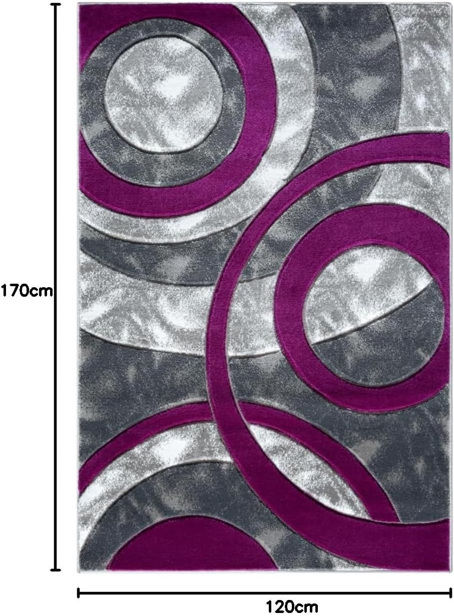 Large Purple Shaggy Area Rug 120x170cm Washable Non Slip Soft Carpet - Kwikley