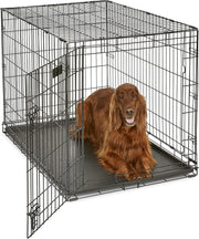 Large Single Door Dog Crate with Leak - Proof Pan, Divider Panel & Secure Lock - Kwikley