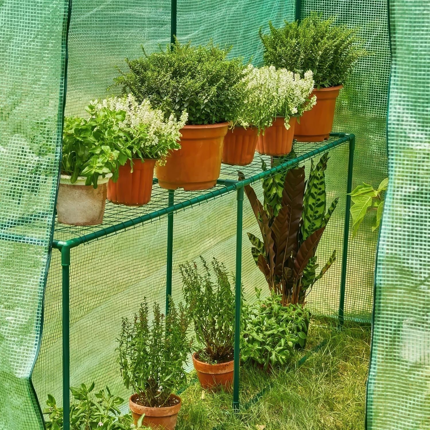 Large Walk - In Garden Greenhouse 190x125x190cm PE Cover UV Protection Waterproof - Kwikley