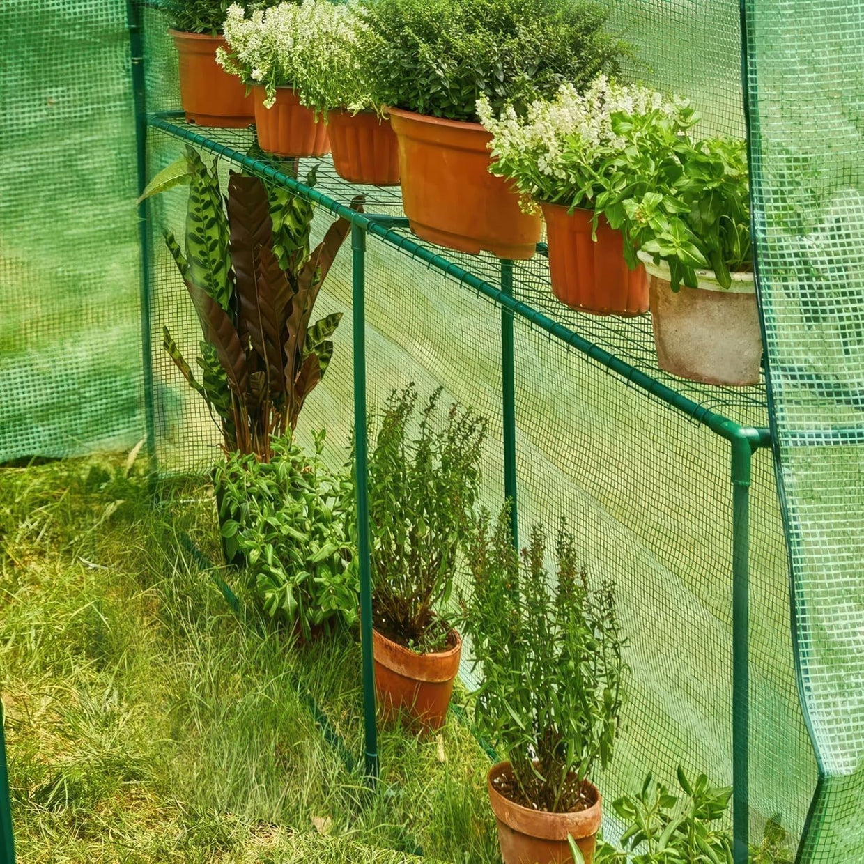 Large Walk - In Garden Greenhouse 190x125x190cm PE Cover UV Protection Waterproof - Kwikley