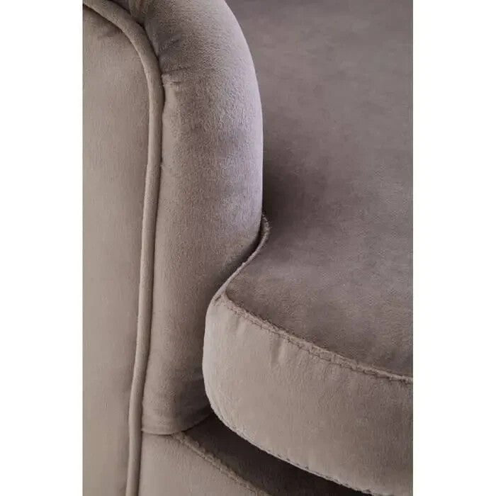 Mink Velvet Accent Chair Gold-Tipped Legs Plush Armchair Lounge Seat - Kwikley