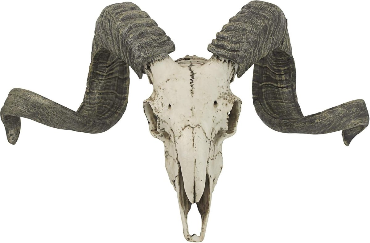 Ram Skull Wall Sculpture Faux Taxidermy Horn Plaque 45.75cm Decor - Kwikley