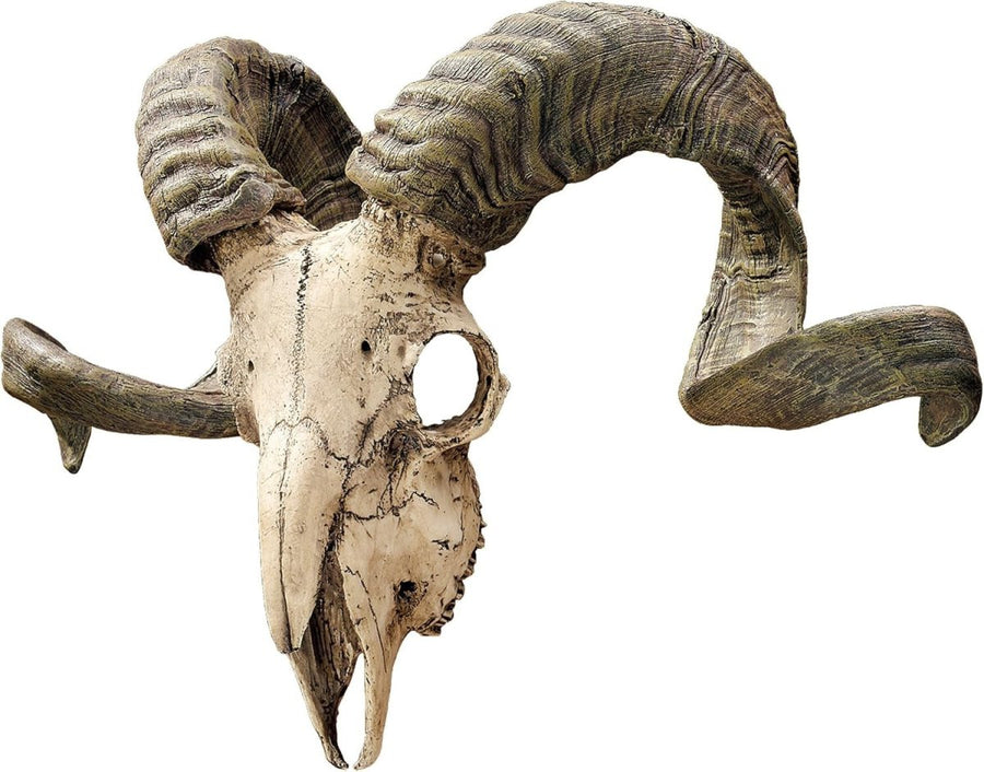 Ram Skull Wall Sculpture Faux Taxidermy Horn Plaque 45.75cm Decor - Kwikley