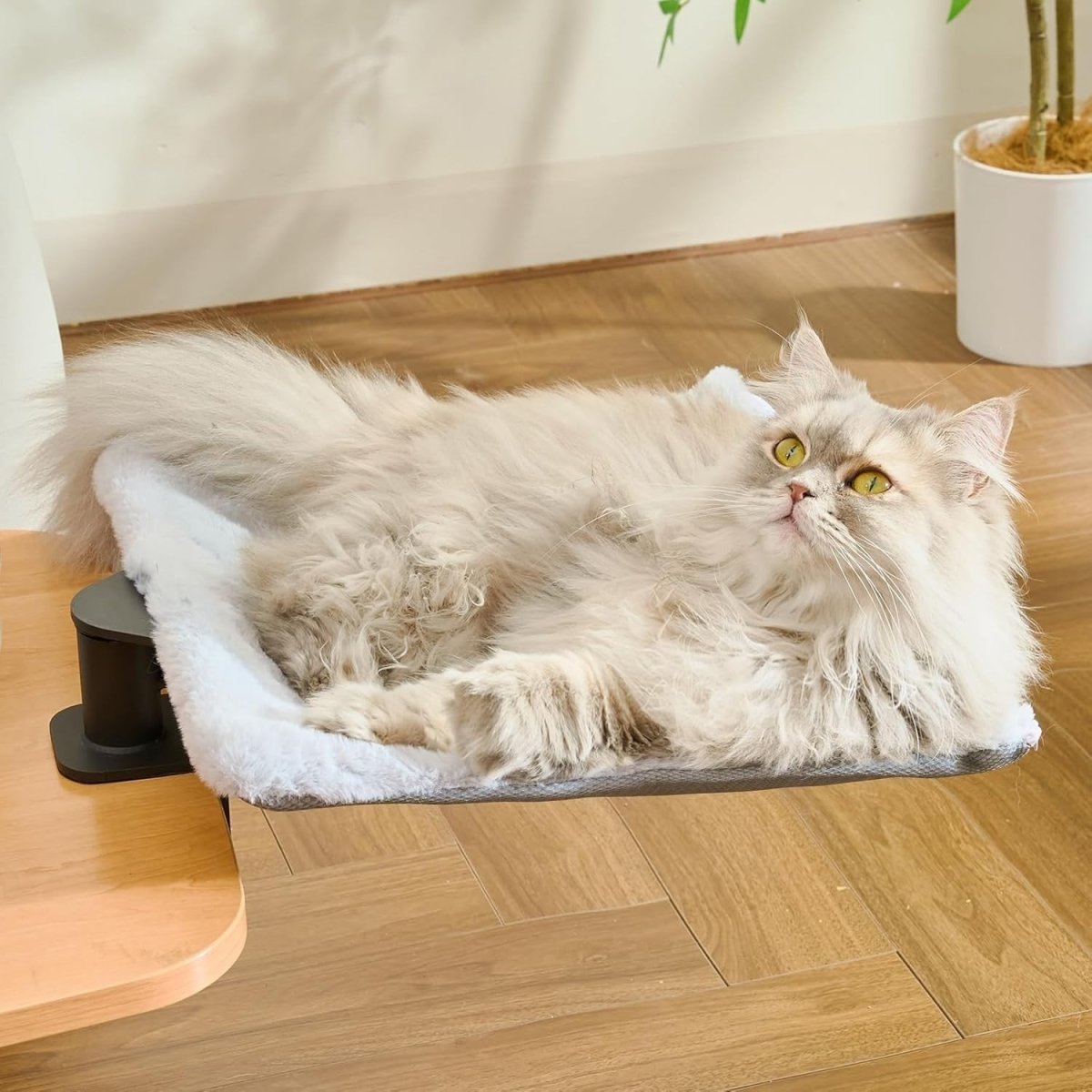 Rotating Desk Cat Bed Square Cat Hammock Clamp On Desktop Perch - Kwikley