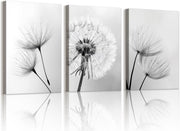 Set of 3 Black White Dandelion Canvas Wall Art 40x60cm - Kwikley