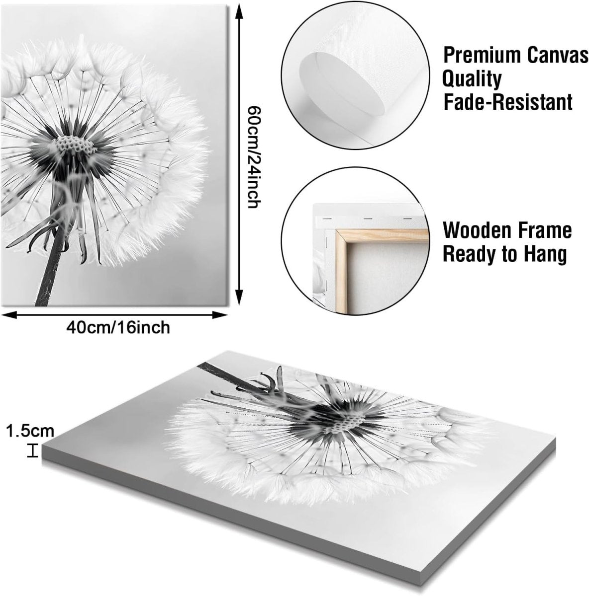Set of 3 Black White Dandelion Canvas Wall Art 40x60cm - Kwikley