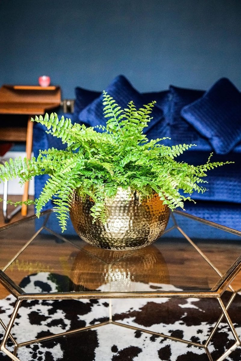 Small Hammered Gold Planter Bowl 19cm Indoor Metal Plant Pot - Kwikley