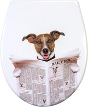 Soft Close Toilet Seat Quick Release Top Fixing Colourful Pattern 45x37cm - Kwikley