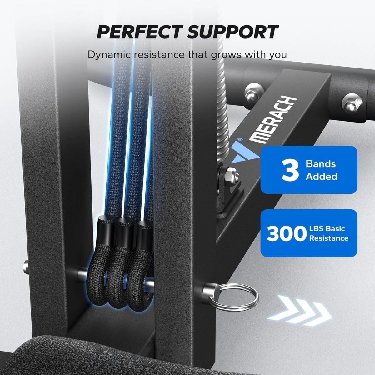 Squat Machine Home Gym Trainer 3 Level Resistance 300lb Capacity - Kwikley