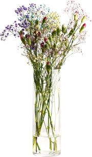 Tall Clear Glass Flower Vase 30cm Elegant Cylinder Vase Home Decor Gift - Kwikley