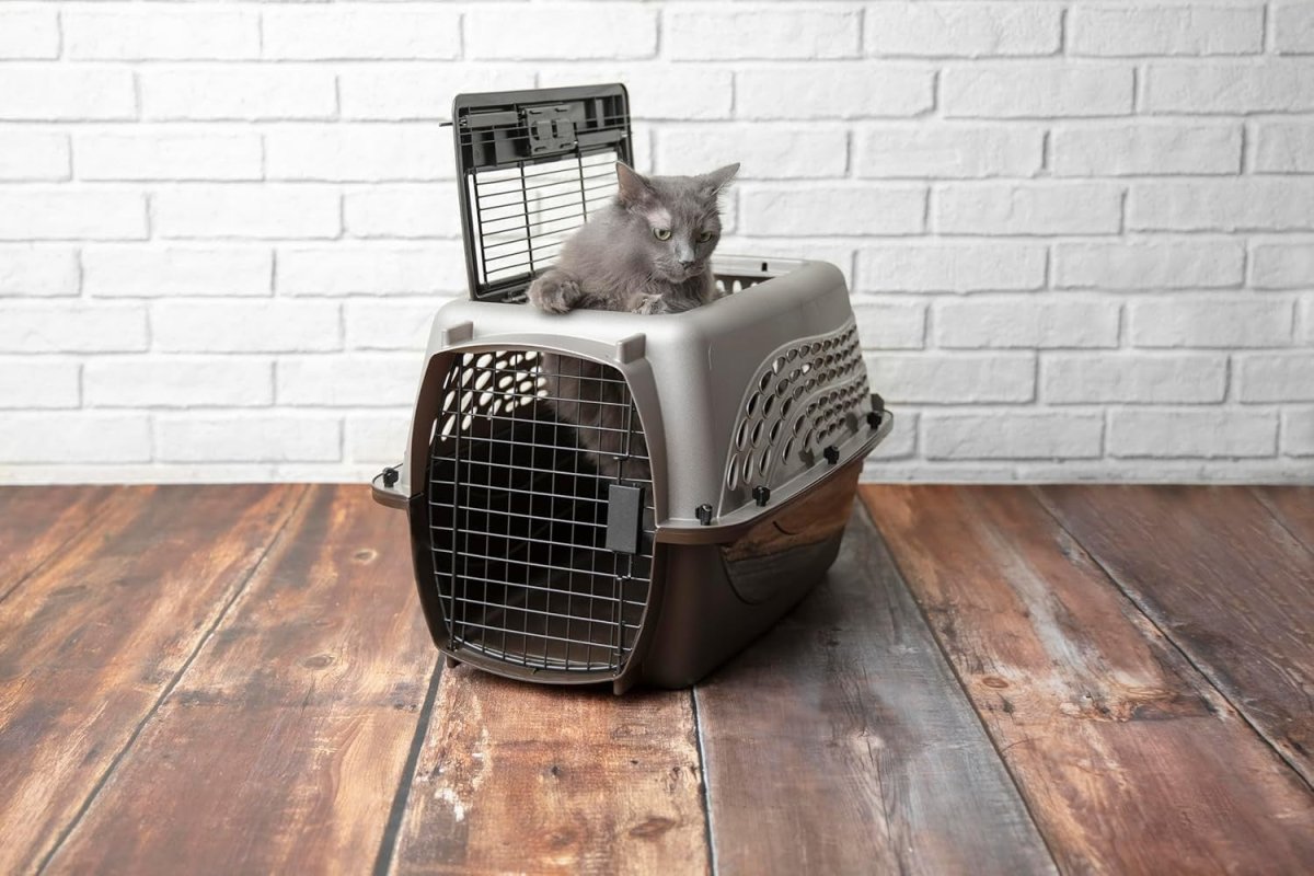 Top Load Pet Carrier 24" with Dual Doors & Secure Latches - Durable Travel Crate - Kwikley