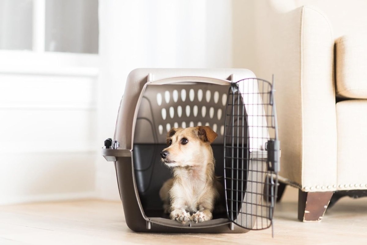 Top Load Pet Carrier 24" with Dual Doors & Secure Latches - Durable Travel Crate - Kwikley