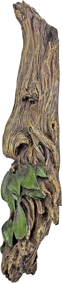 Tree Ent Wall Sculpture 38cm Fantasy Forest Decor - Kwikley
