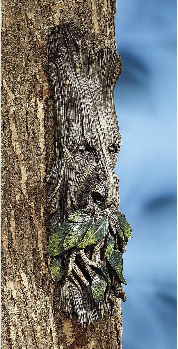 Tree Ent Wall Sculpture 38cm Fantasy Forest Decor - Kwikley