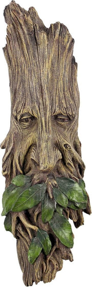 Tree Ent Wall Sculpture 38cm Fantasy Forest Decor - Kwikley