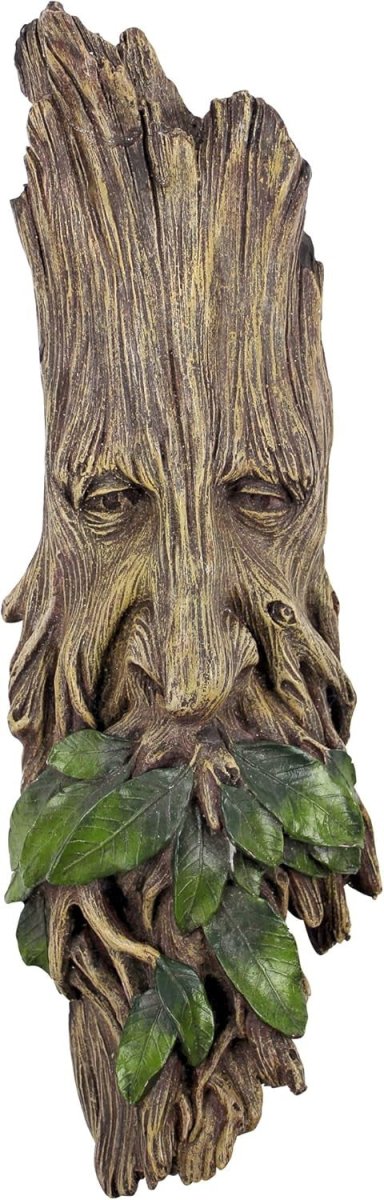 Tree Ent Wall Sculpture 38cm Fantasy Forest Decor - Kwikley