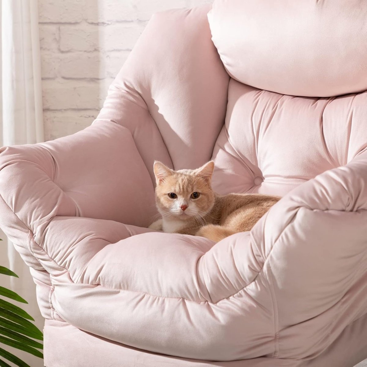 Velvet Comfy Armchair Relax Accent Chair for Bedroom Living Room - Kwikley