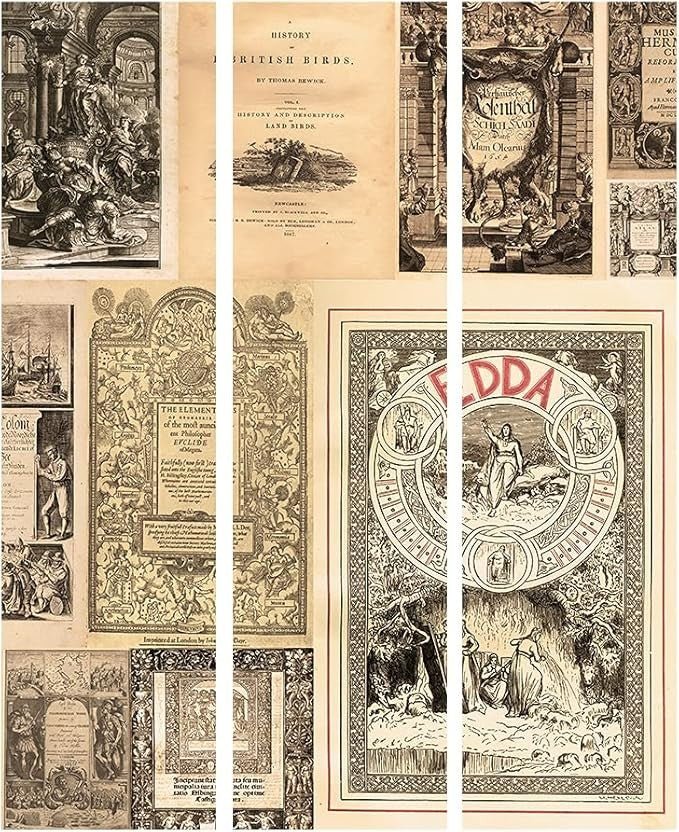 Vintage Books Room Divider 3 Panel Folding Privacy Screen 135x172cm Retro - Kwikley