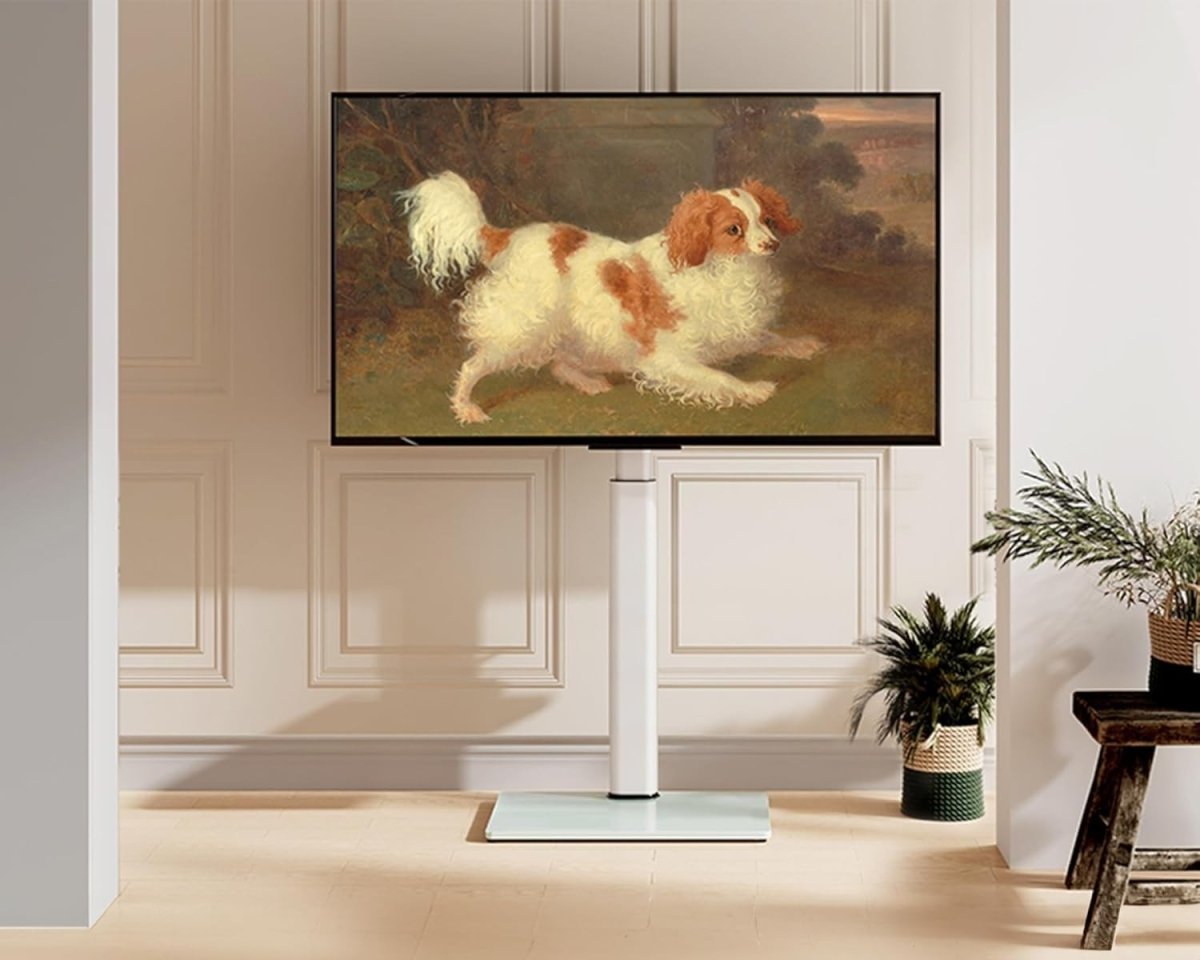 White Adjustable Swivel TV Floor Stand for 32 - 60" Flat Screen TVs, 30kg - Kwikley